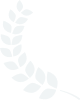多彩联盟科技-AI大数据_数字商场_数字门店