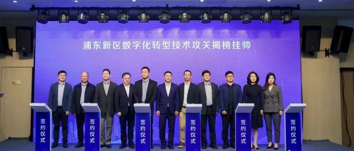 揭榜挂帅！多彩联盟科技成为浦东新区数字化转型技术攻关企业